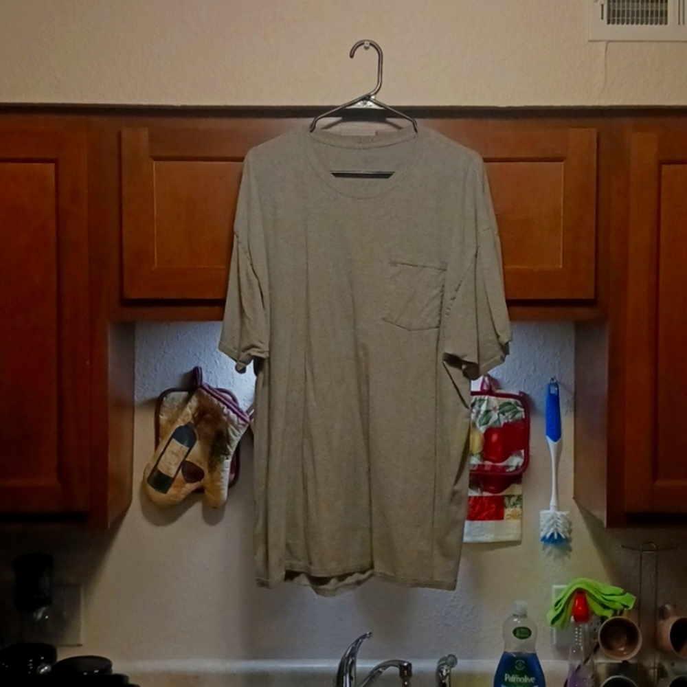 Fruit of the Loom gray t-shirt